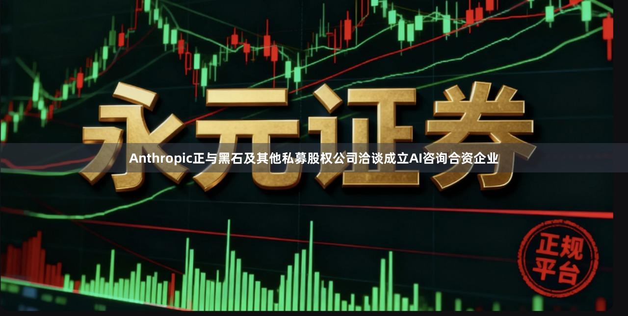 Anthropic正与黑石及其他私募股权公司洽谈成立AI咨询合资企业
